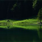 Morgenstille am Seealpsee