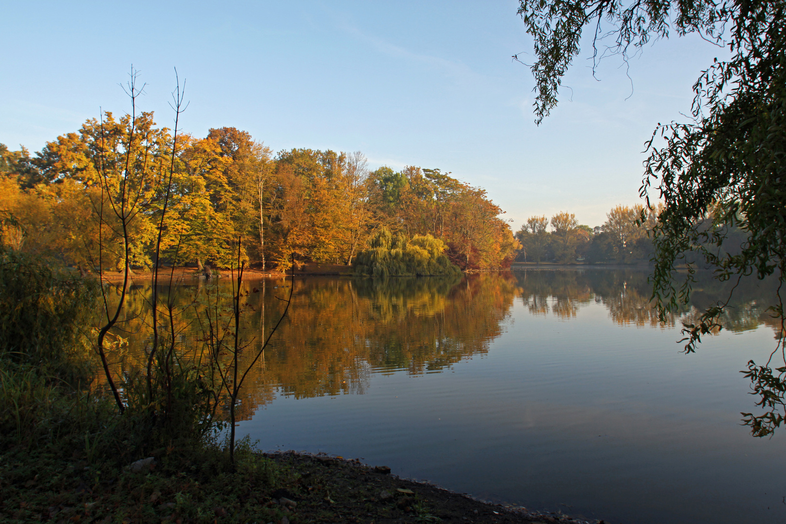 Morgenstille am Teich