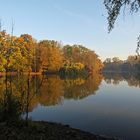 Morgenstille am Teich