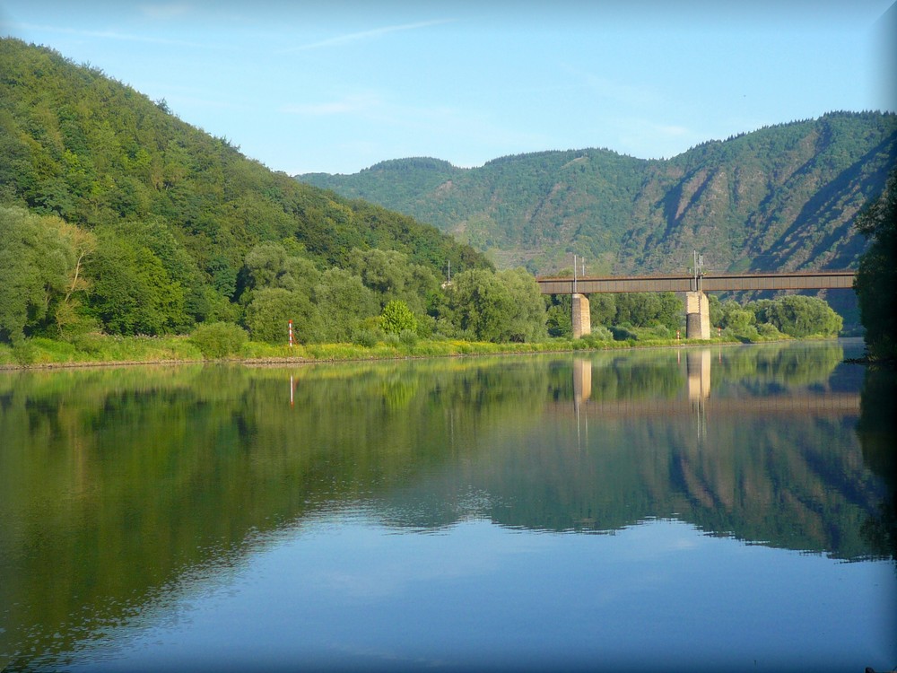 Morgenstille an der Mosel vor Eller