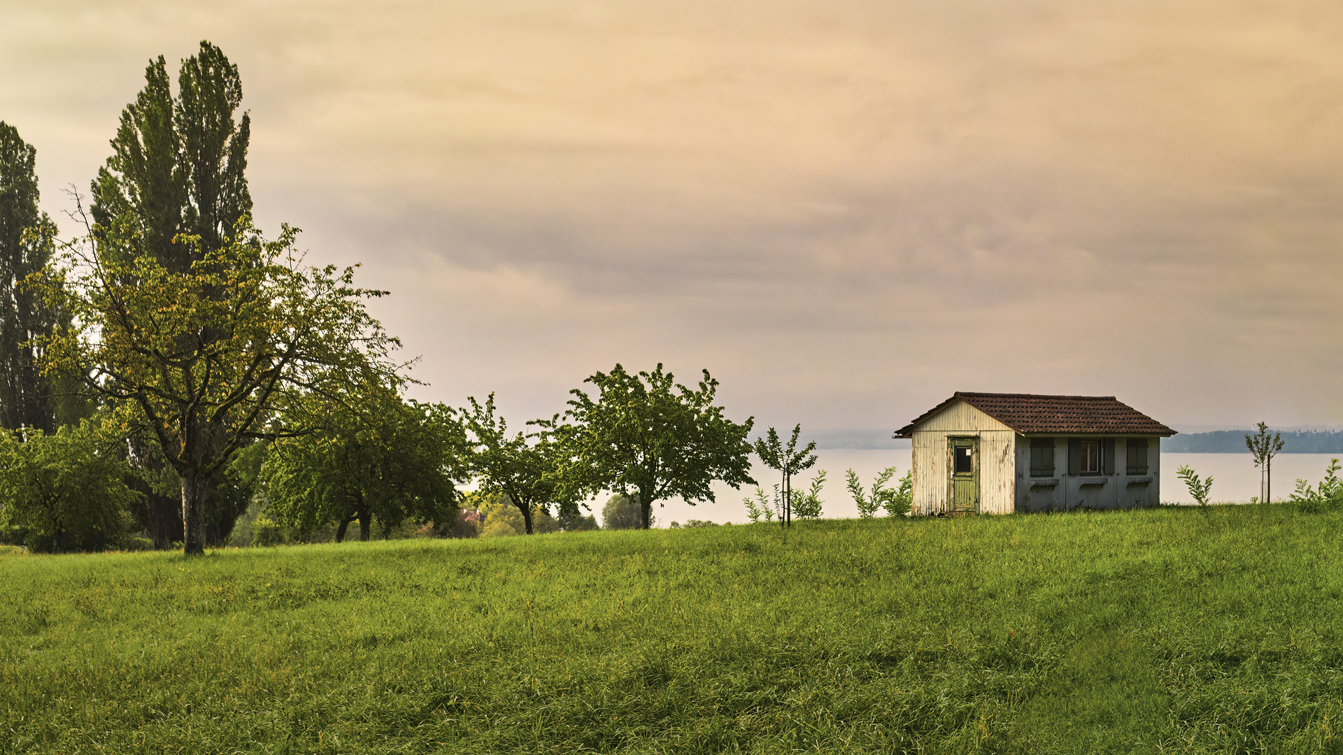 Morgenstille | Bodensee