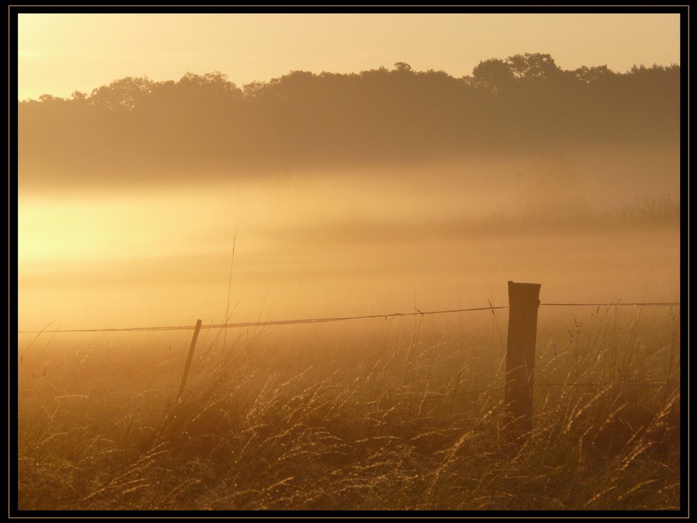 MorgenStille