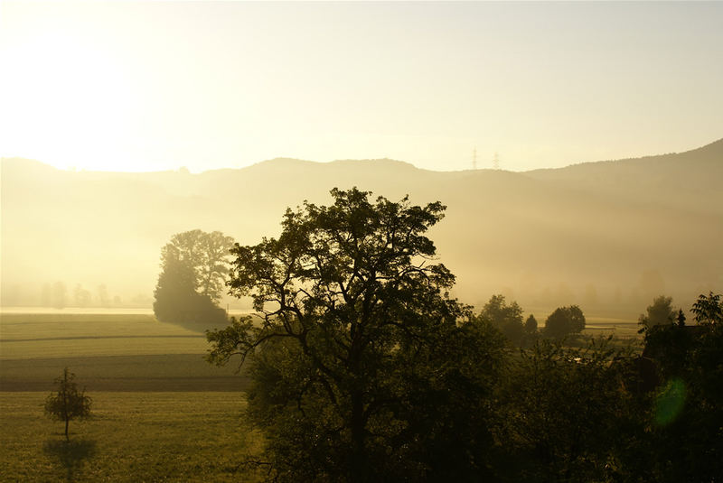 Morgenstille von David Altherr