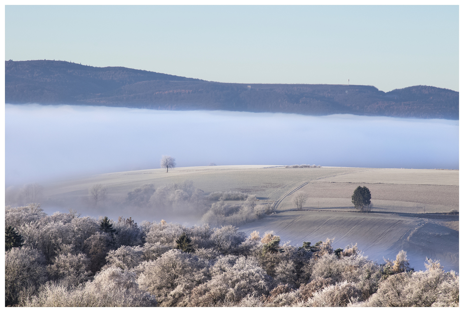 Morgenstille und Nebel