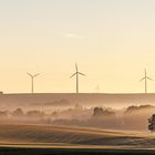 Morgenstimmmung im September