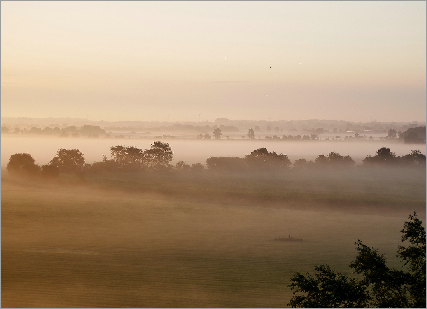 Morgenstimmung...