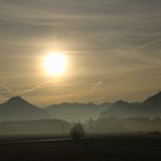 Morgenstimmung-2