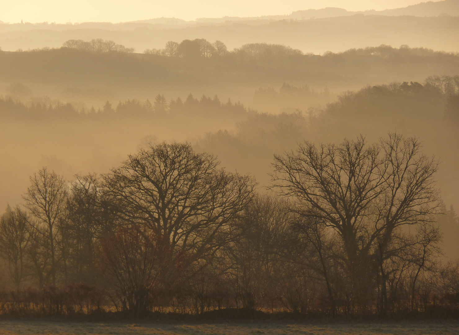 Morgenstimmung 2