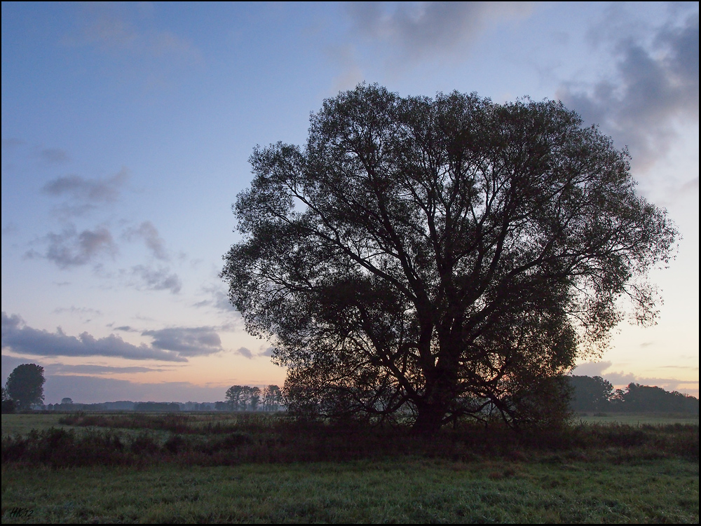 Morgenstimmung