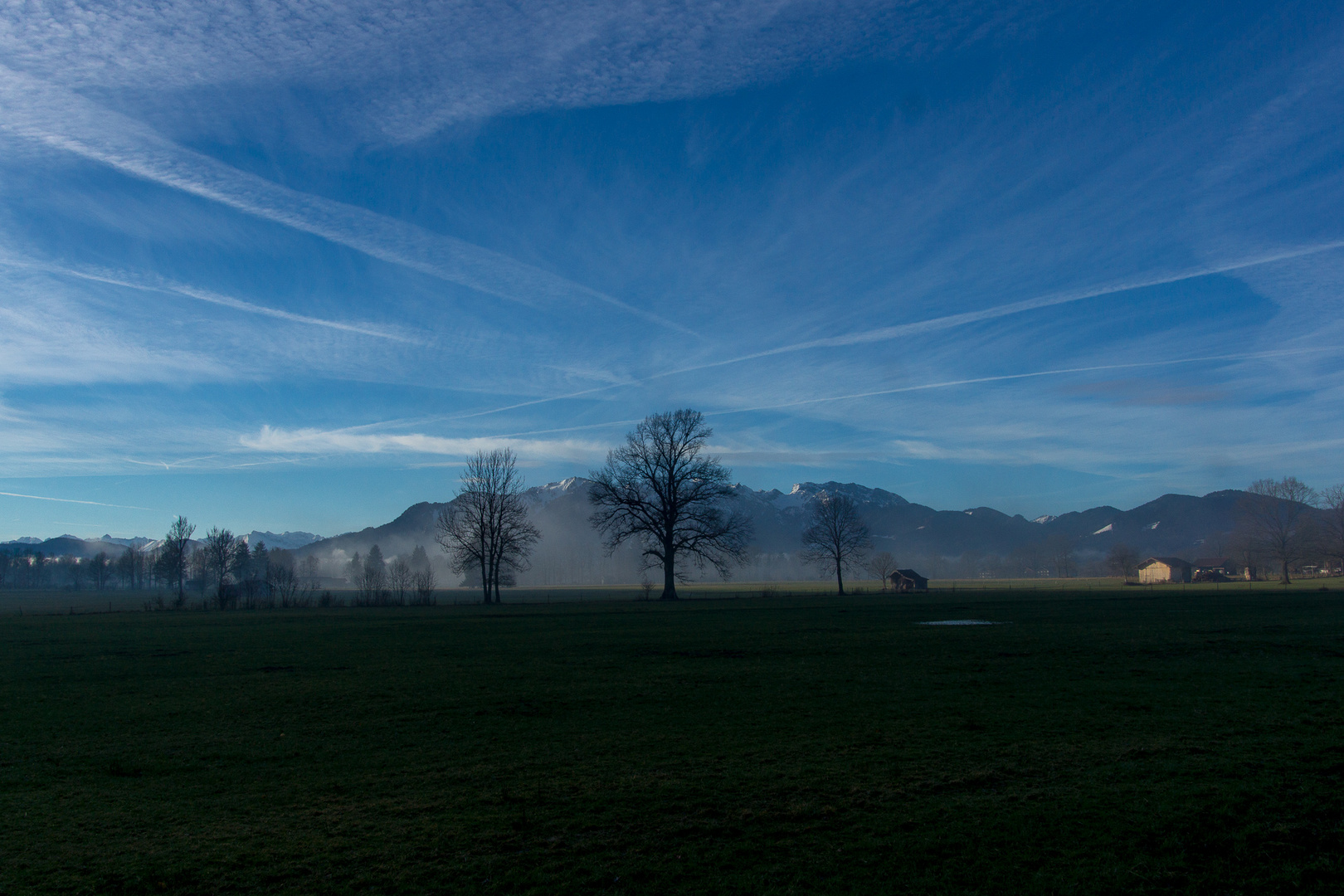 Morgenstimmung (4)