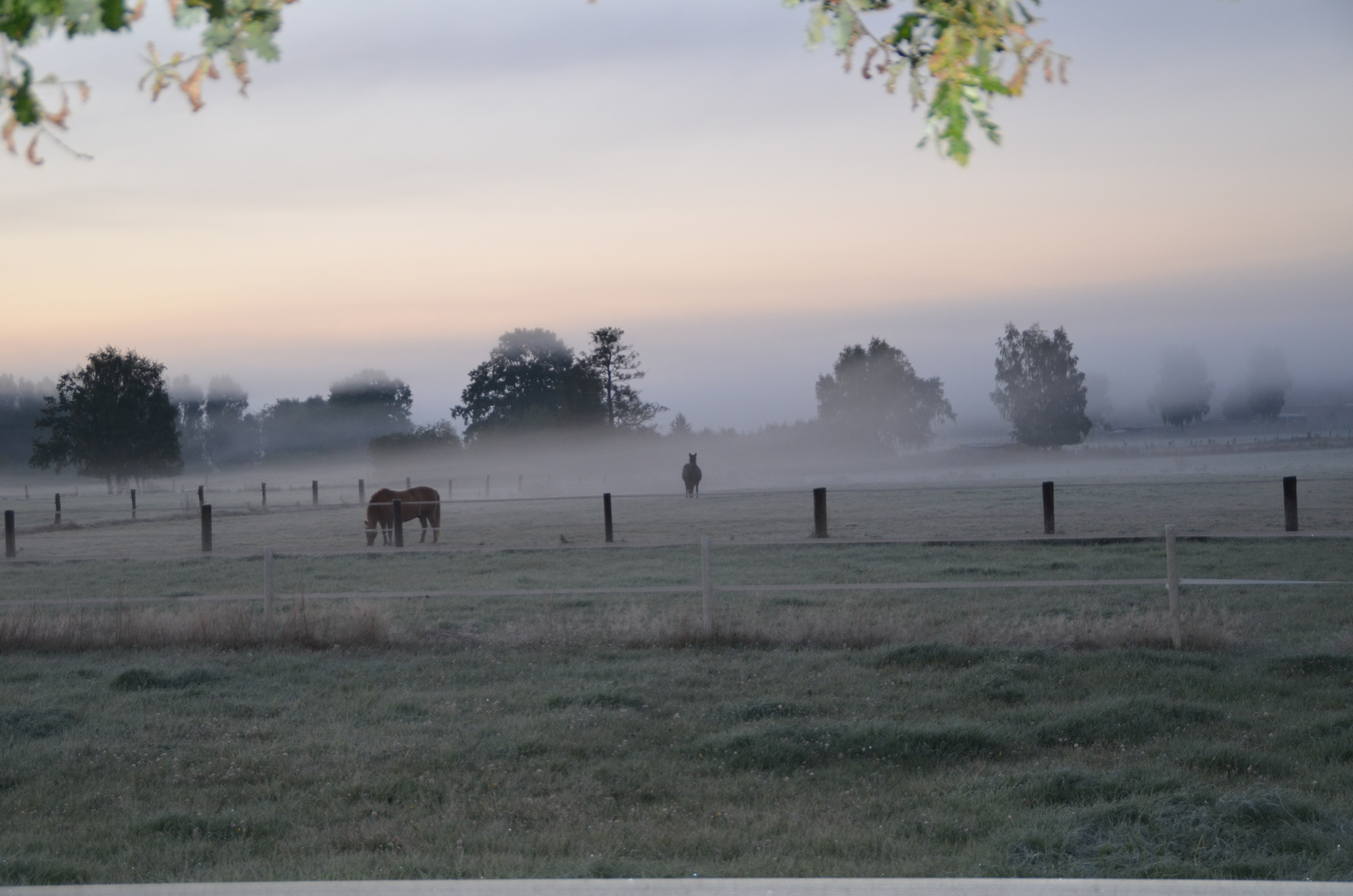 Morgenstimmung