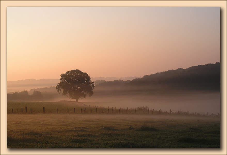 Morgenstimmung