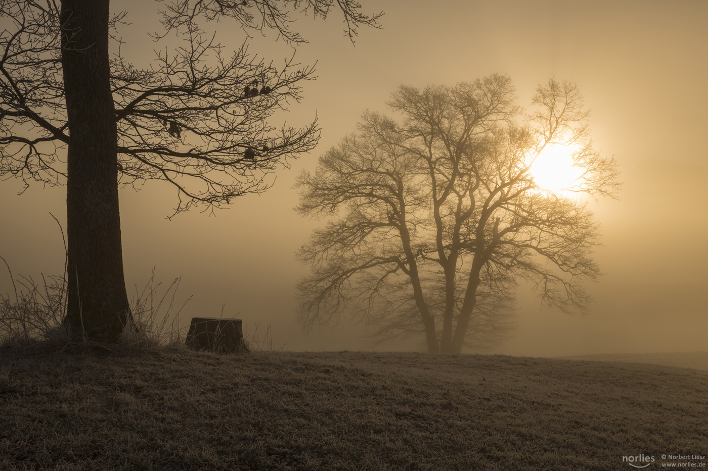 Morgenstimmung