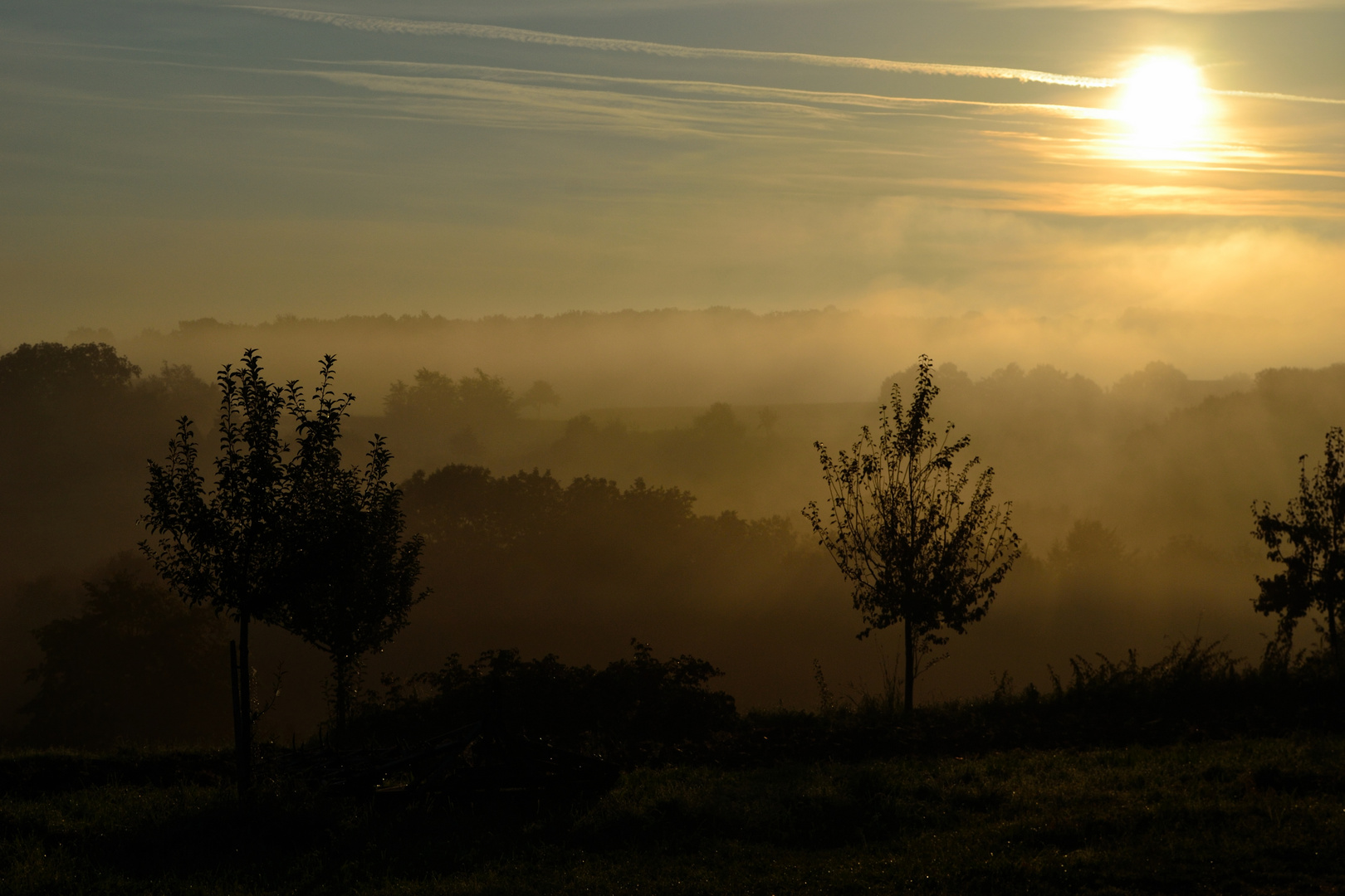 Morgenstimmung