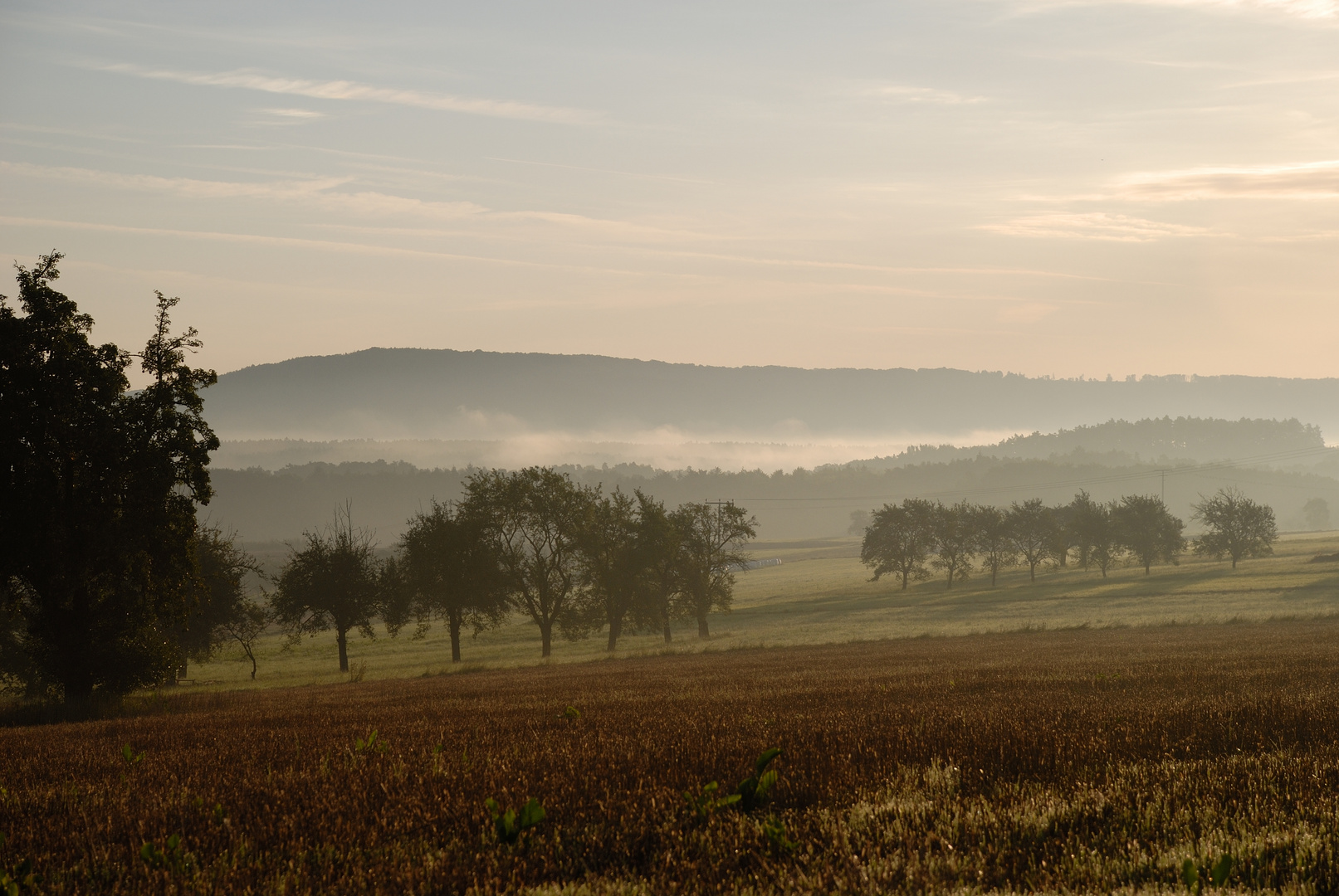 Morgenstimmung