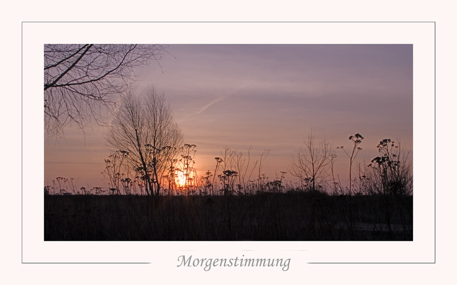 Morgenstimmung