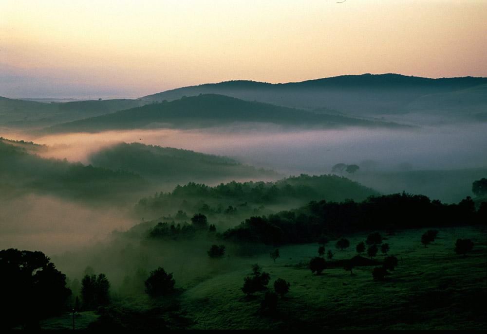 Morgenstimmung von Hartmut Bräunlich