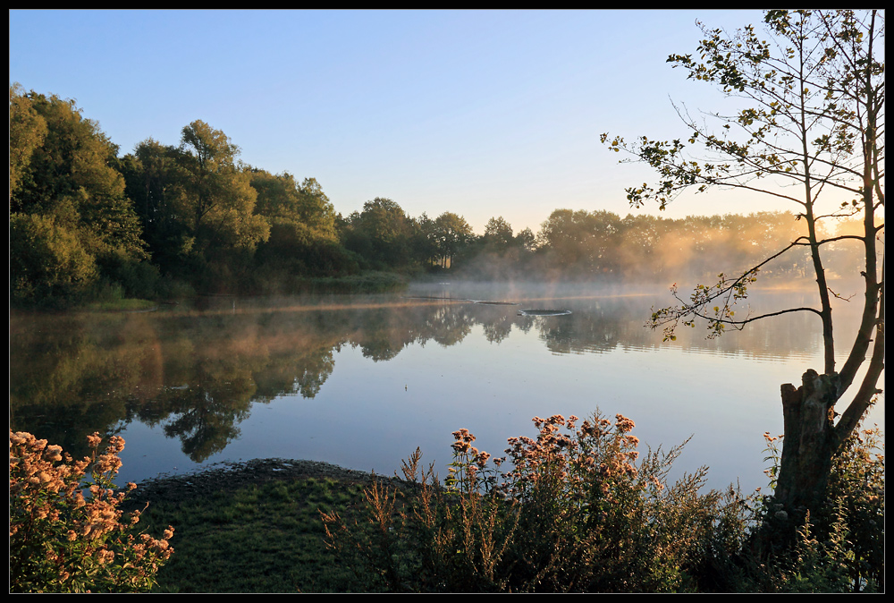 Morgenstimmung