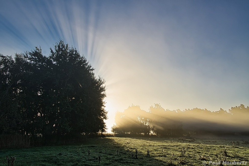 Morgenstimmung