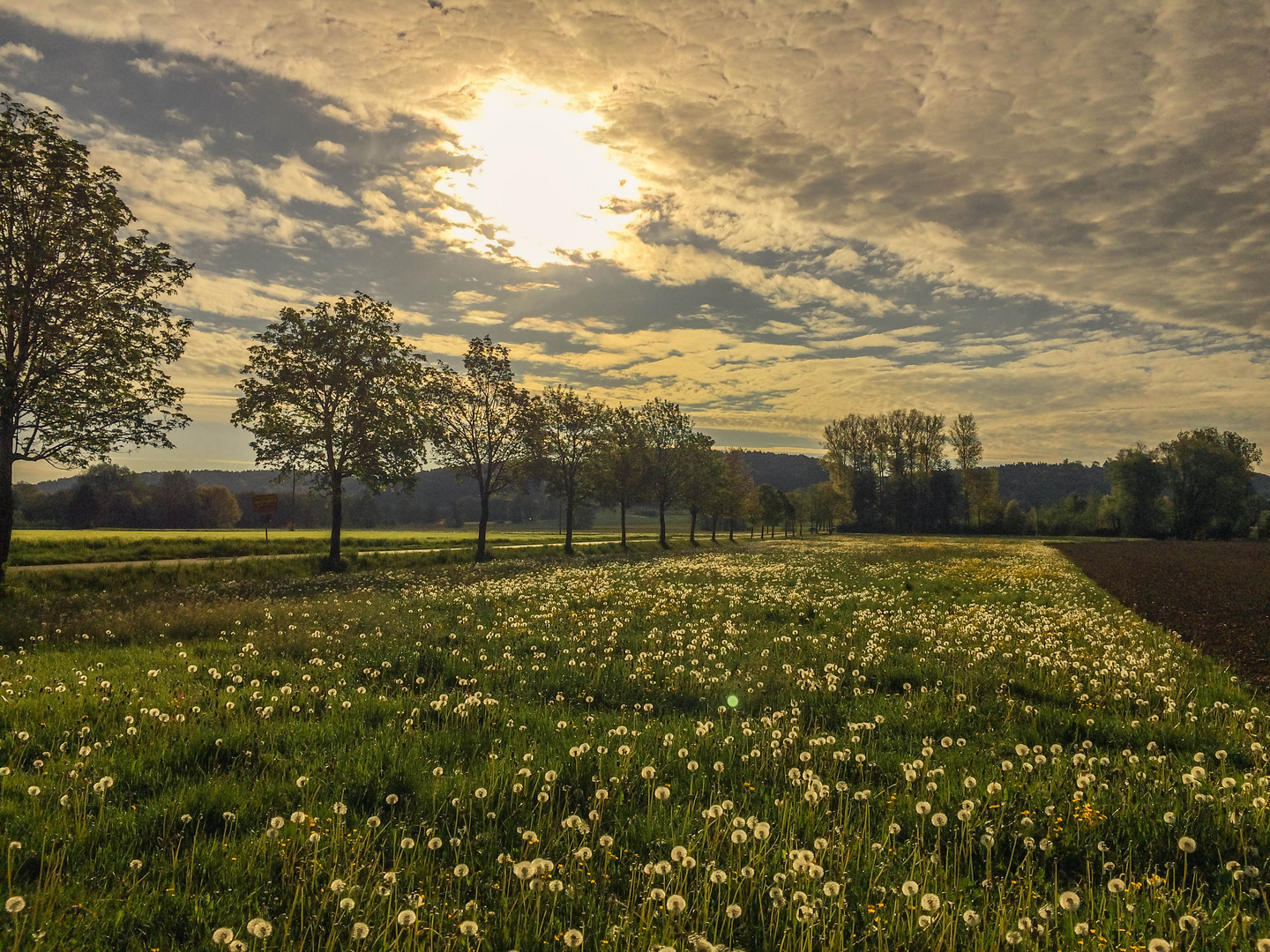 Morgenstimmung