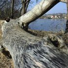 Morgenstimmung am Aalkistensee bei Maulbronn