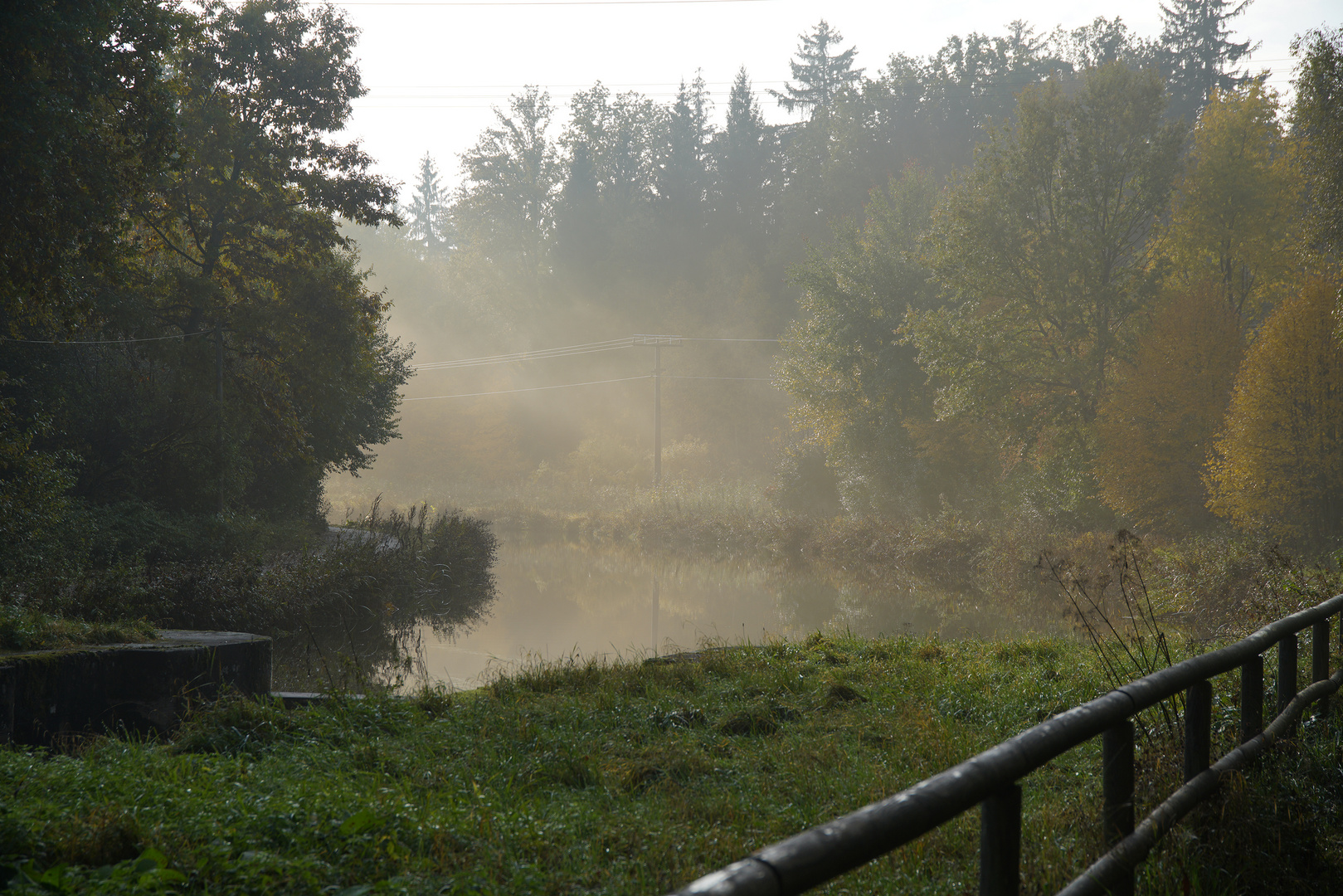 Morgenstimmung am alten Ludwigs-Kanal