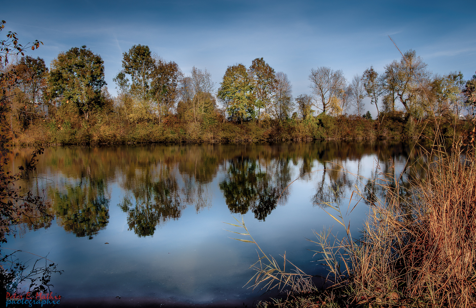 Morgenstimmung am Alten Rhein