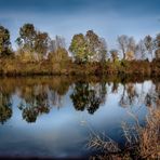 Morgenstimmung am Alten Rhein