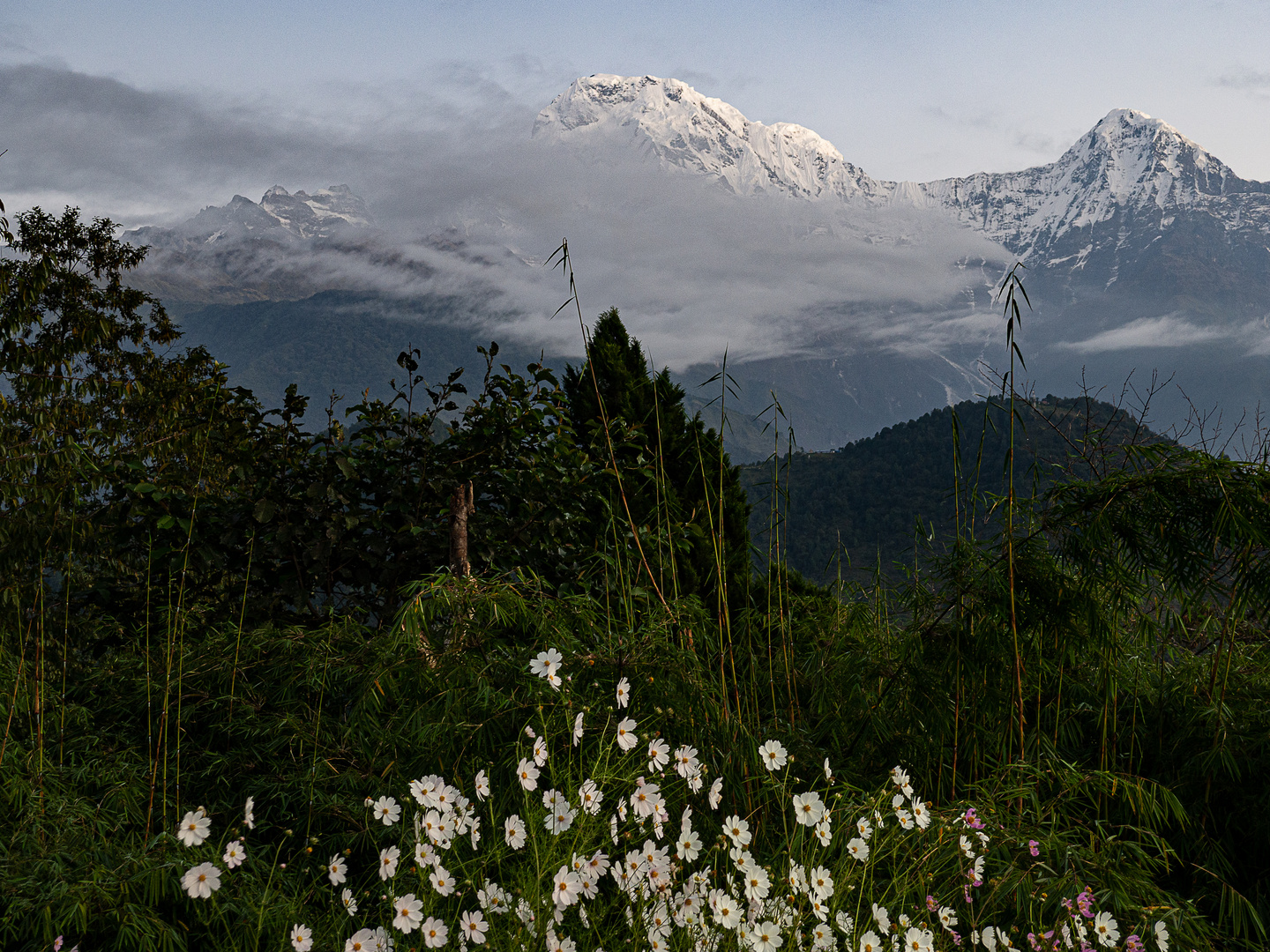  Morgenstimmung am Annapurna (1 von 1)