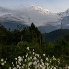  Morgenstimmung am Annapurna (1 von 1)