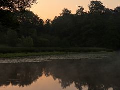 Morgenstimmung am Aprather Mühlenteich