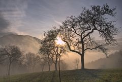 Morgenstimmung am Attersee