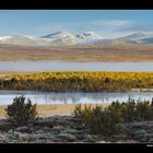 Morgenstimmung am Avsjøen • Oppland, Norwegen (88-22011)