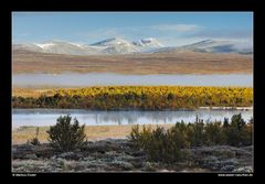 Morgenstimmung am Avsjøen • Oppland, Norwegen (88-22011)