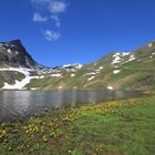 Morgenstimmung am Bachalpsee