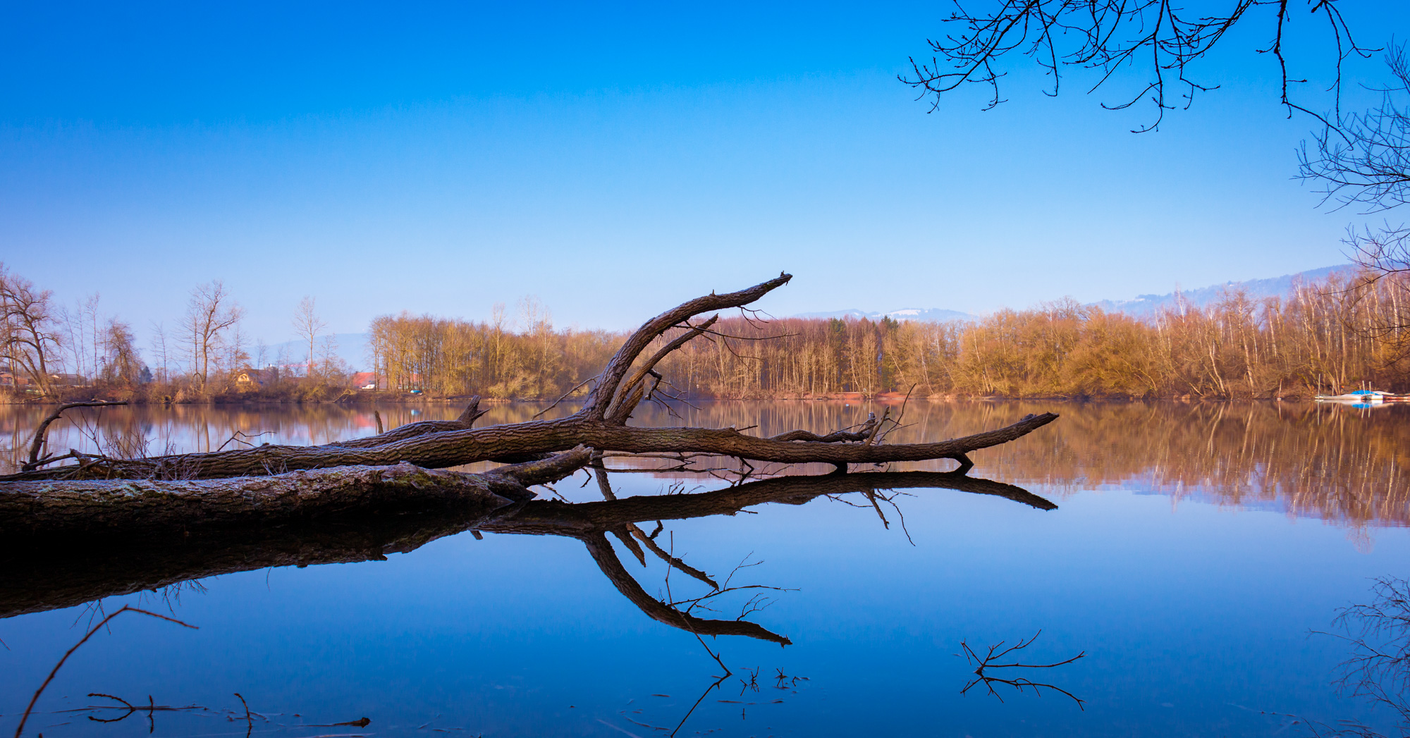 Morgenstimmung am Baggersee