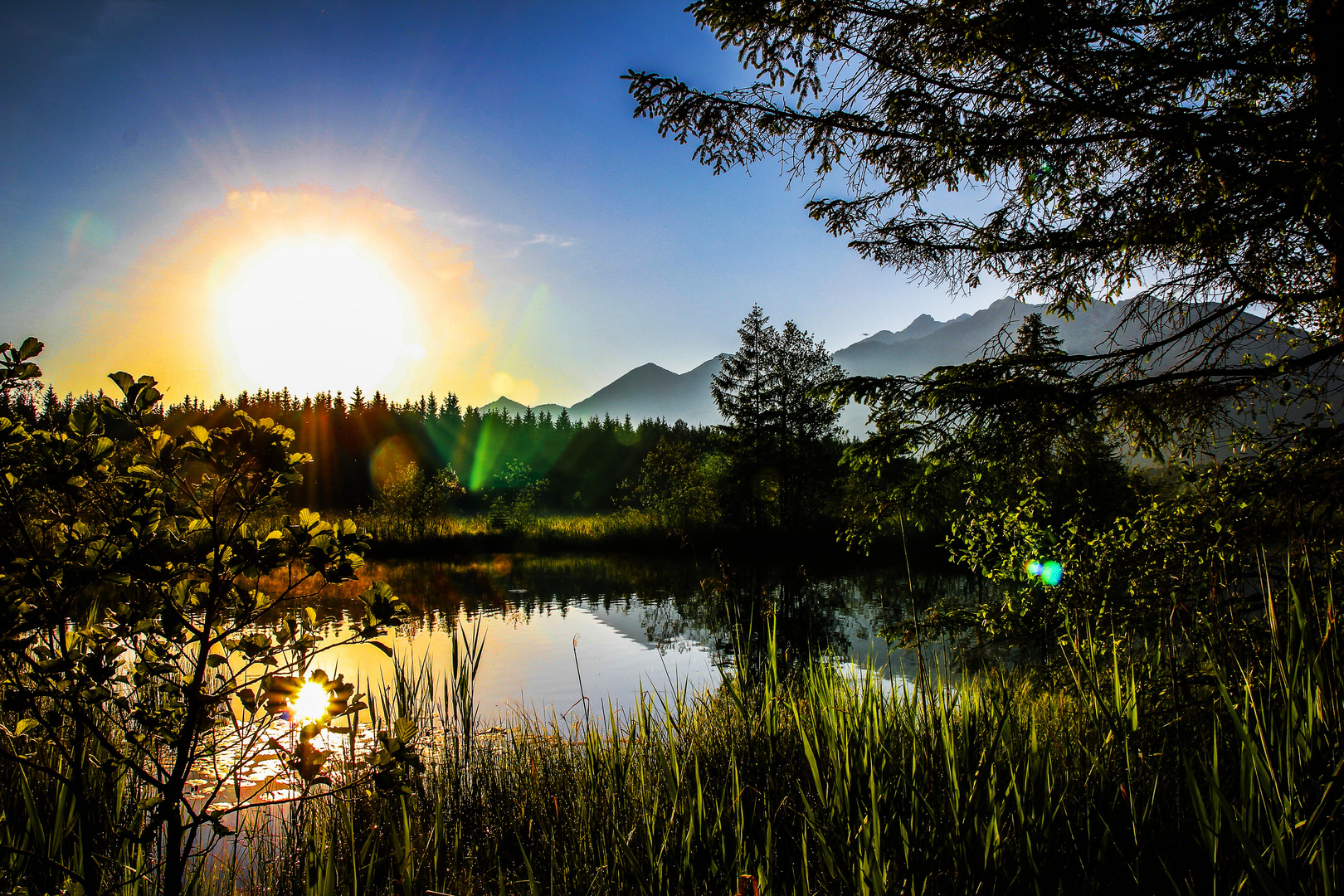 Morgenstimmung am Barmsee