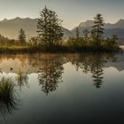 Morgenstimmung am Barmsee