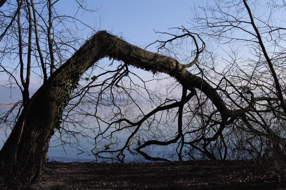 Morgenstimmung am Bieler See im März