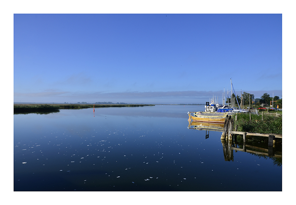 Morgenstimmung am Bodden