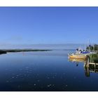 Morgenstimmung am Bodden