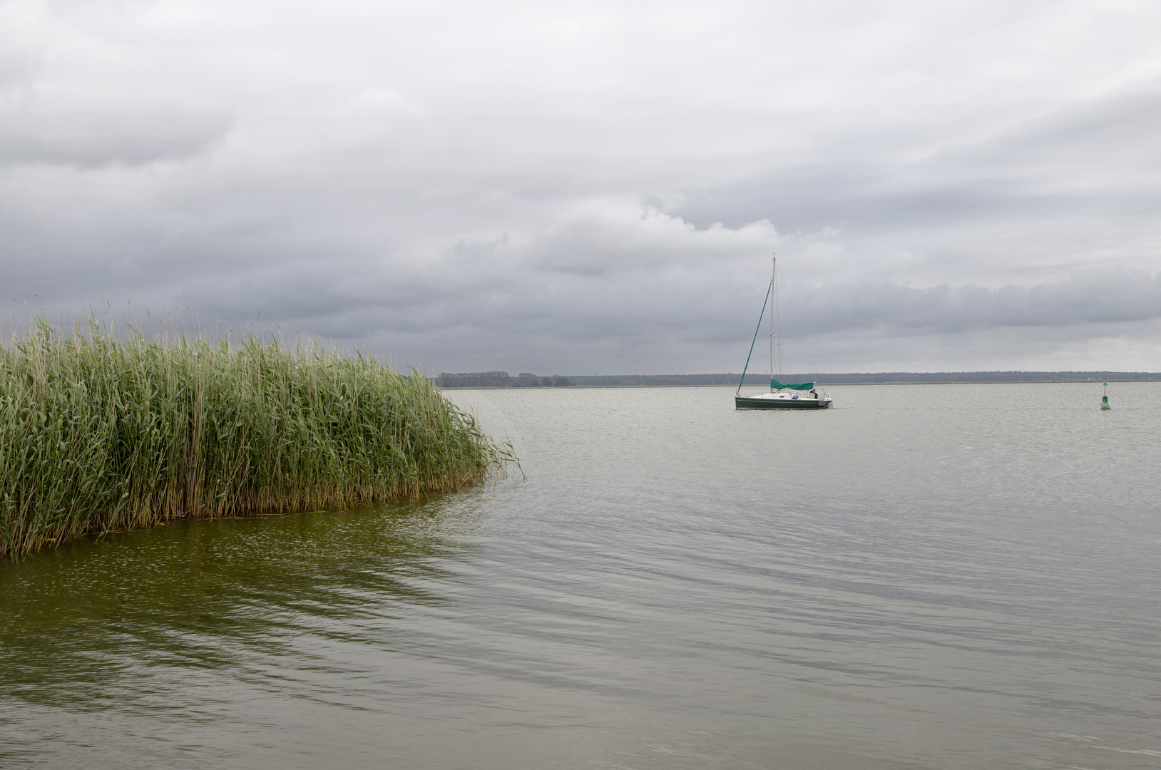 Morgenstimmung am Bodden