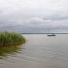 Morgenstimmung am Bodden