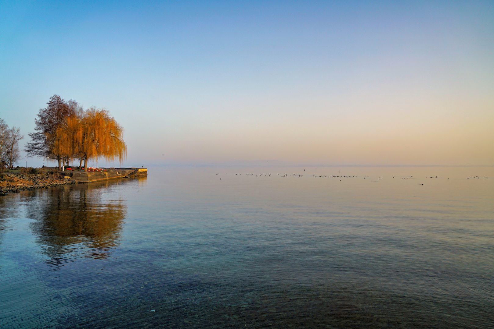 Morgenstimmung am Bodensee