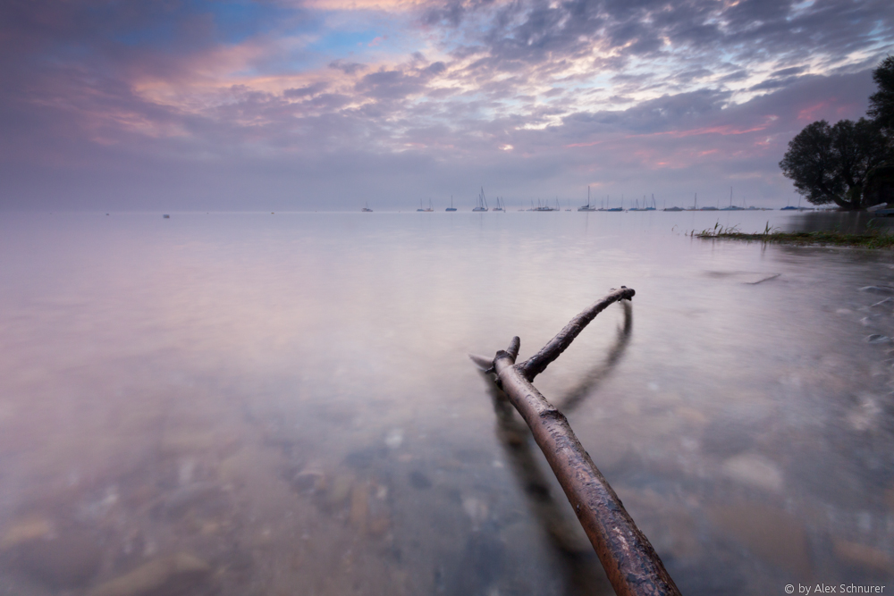 Morgenstimmung am Bodensee