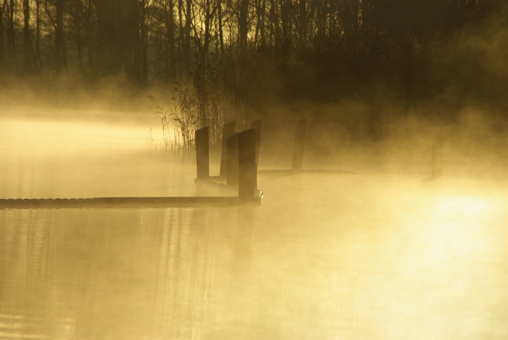 morgenstimmung am bornhorster see - die zweite