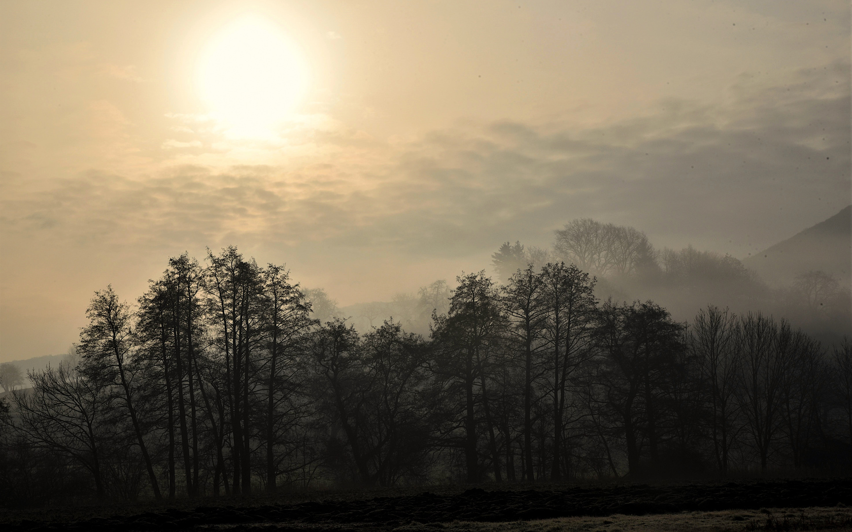 Morgenstimmung am Breitenstein (Alb)