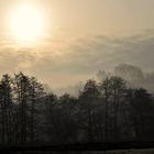 Morgenstimmung am Breitenstein (Alb)