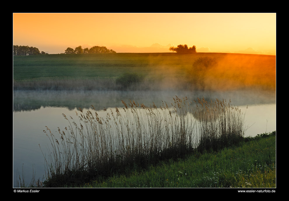 Morgenstimmung am Bucher Stausee • Ostalbkreis, Baden-Württemberg, Deutschland (88-22336)