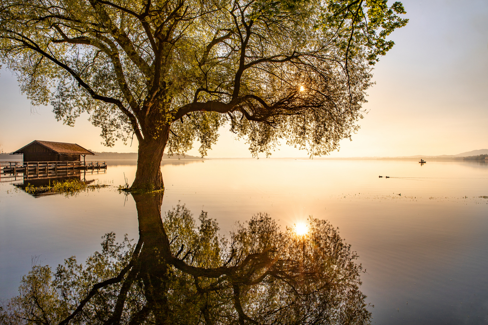 Morgenstimmung am Chiemsee